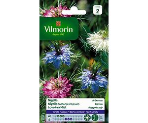 Vilmorin Nigelle Multicolore
