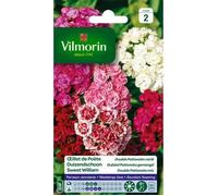 Vilmorin 5437942 Œillet, Multicolore, 90 x 2 x 160 cm - Sachet de 1,5 g