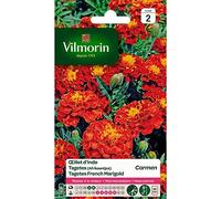 Vilmorin 5441142 Œillet Rouge 9 x 0.5 x 16 cm