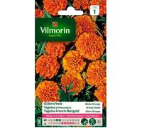 VILMORIN Oeillet d'Inde Globe orange