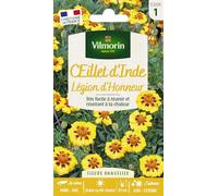 Vilmorin Oeillet d'Inde Legion d'Honneur | Fleur jaune, Résistante chaleur, Floraison en été, Sécheresse supportée, Facile à réussir
