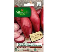 Vilmorin Pack de graines Oignon de Florence Race de Simiane Rouge