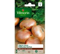 VILMORIN Oignon jaune paille des Vertus