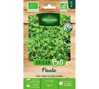 Vilmorin - Origan Paula Bio