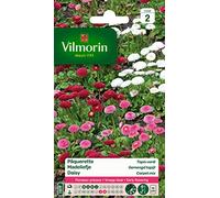 Vilmorin Pâquerette, Multicolore
