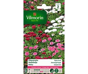Vilmorin Pâquerette, Multicolore | Floraison précoce, culture en pots ou jardinières, massifs bas, bordures, semis mars à juin, floraison juillet-août