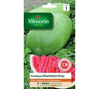 Vilmorin Pastèque Charleston Chair | Variété rustique, fruits 12-15 kg, chair juteuse sucrée, résistante chaleur et maladies