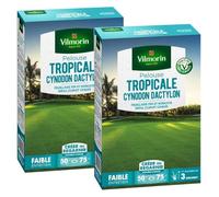 Vilmorin Pelouse Tropicale - Cynodon Dactylon - 500 g (x2)