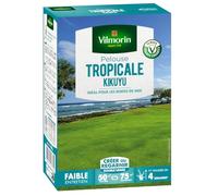 Vilmorin Semences de gazon Pelouse tropicale Kikuyu Vert 500 g