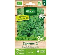 Vilmorin Persil Commun 2 Bio Grand Modèle | Persil bio, Larges feuilles, Parfum intense, Herbe aromatique, Cuisine méditerranéenne, Saveur intense
