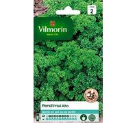 Vilmorin Persil Frise Alto Creation, Vert
