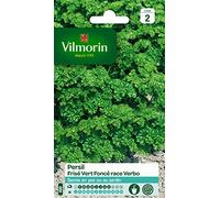Vilmorin Graines Persil Frisé Vert Foncé Race Verbo – Pack Sélection