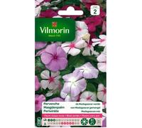 VILMORIN-Graines de Pervenche de Madagascar variée Vilmorin - graines à semer
