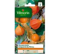 VILMORIN Physalis Edulis Coqueret du Pérou