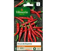Vilmorin - Piment de Cayenne