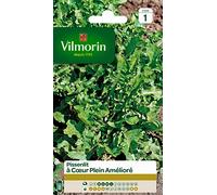 Vilmorin – Graines – Pissenlit à cœur plein – Amélioré, plante très productive, forme compacte