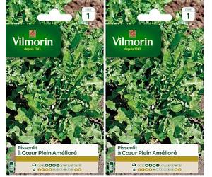 VILMORIN - Pissenlit cœur Plein - Plante très Productive - Forme compacte - (Lot de 2)