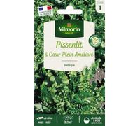 Vilmorin Pissenlit Cœur Plein | Variété productive, Forme compacte, récolte abondante
