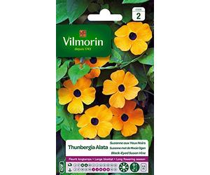 Vilmorin Plante Grimpante Jaune