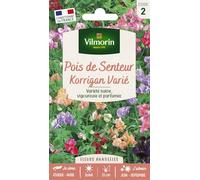 VILMORIN Pois de senteur Korrigan mix Vilmorin série 2