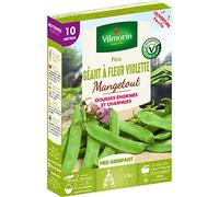 Vilmorin Pois géant Fleur Violette Boite série 10m mangetout, Vert