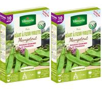 Vilmorin Pois géant Fleur Violette Boite série 10m mangetout, Vert (Lot de 2)
