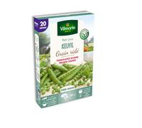 Graines de Pois nain à grain ridé Kelvil - 20 mètres