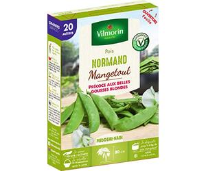 Vilmorin Pois Normand Boite, 20 m, Vert | Précoce, Saveur sucrée, production abondante, gousses blondes, Culture facile