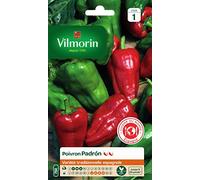 Vilmorin Poivron Padron | 4/10 sur l'échelle de Scoville, Piment à tapas espagnol, peu piquant