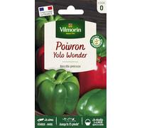 Vilmorin : Poivron Yolo Wonder