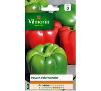 VILMORIN Poivron Yolo Wonder
