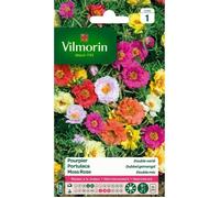 VILMORIN Pourpier a grande fleur double varié