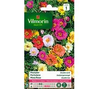 Vilmorin Pourpier à Grande Fleur Multicolore
