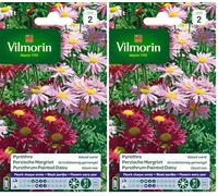 Vilmorin Pyrethre géant en mélange - Semences pour plantation - fleurs hautes vivaces 50 cm - Fleurit chaque année -Eloigne naturellement les insectes - Facile à réussir sans entretien (Lot de 2)