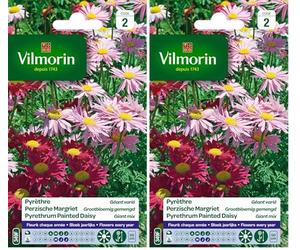 Vilmorin Pyrethre géant en mélange - Semences pour plantation - fleurs hautes vivaces 50 cm - Fleurit chaque année -Eloigne naturellement les insectes - Facile à réussir sans entretien (Lot de 2)