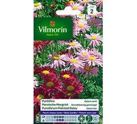 Vilmorin Pyrethre Géant Varié | Formes de marguerites, bouquet, semis avril à juillet, exposition soleil, floraison mai à juillet, arrosage moyen