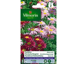 Vilmorin Pyrethre Géant Varié | Formes de marguerites, bouquet, semis avril à juillet, exposition soleil, floraison mai à juillet, arrosage moyen