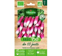 VILMORIN - Radis de 18 Jours Bio - variété Traditionnelle et précoce - se développe Rapidement - rendement jusqu'à 6 Bottes/m²