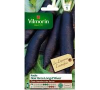 Vilmorin - Sachet graines Radis Noir Gros Long d'hiver