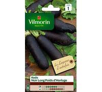 Vilmorin Radis Noir Long Poids d'Horloge