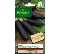 VILMORIN Radis noir long poids d'horloge