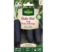 Vilmorin Radis Noir Long Poids d'Horloge | Racines volumineuses 20cm, salade ou navet, exposition mi-ombragée, semis de mars à août, récolte mai-novembre