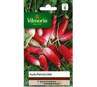 VILMORIN Radis Pernot clair