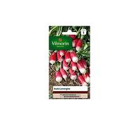 Vilmorin - Radis Pernot Lavergne