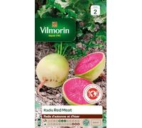 Sachet graines Radis Red Meat-