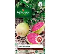 Sachet graines Radis Red Meat-