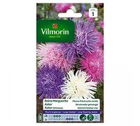 Vilmorin - Reine Marguerite Plume Autruche