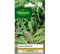 VILMORIN Roquette cultivée