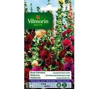 Vilmorin Rose Trémière Double Grande Variée | Vivace vigoureuse, fleurs en pompons, coloris blanc à grenat, tiges rigides, exposition mi-ombre