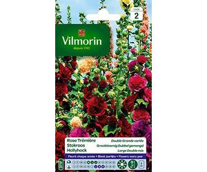 Vilmorin Rose Trémière Double Grande Variée | Vivace vigoureuse, fleurs en pompons, coloris blanc à grenat, tiges rigides, exposition mi-ombre